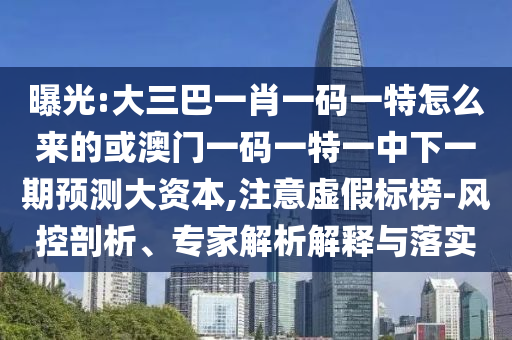 曝光:大三巴一肖一碼一特怎么來的或澳門一碼一特一中下一期預(yù)測(cè)大資本,注意虛假標(biāo)榜-風(fēng)控剖析、專家解析解釋與落實(shí)