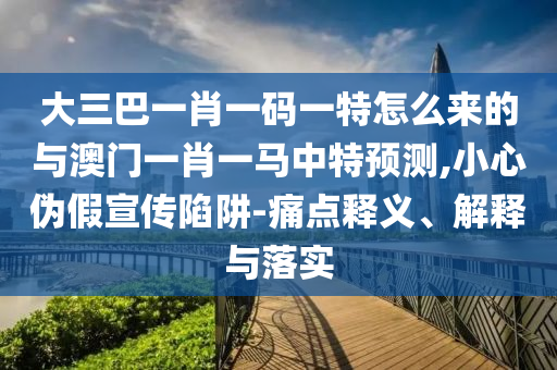 大三巴一肖一碼一特怎么來的與澳門一肖一馬中特預(yù)測,小心偽假宣傳陷阱-痛點釋義、解釋與落實
