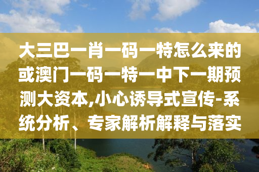 大三巴一肖一碼一特怎么來的或澳門一碼一特一中下一期預(yù)測大資本,小心誘導(dǎo)式宣傳-系統(tǒng)分析、專家解析解釋與落實(shí)