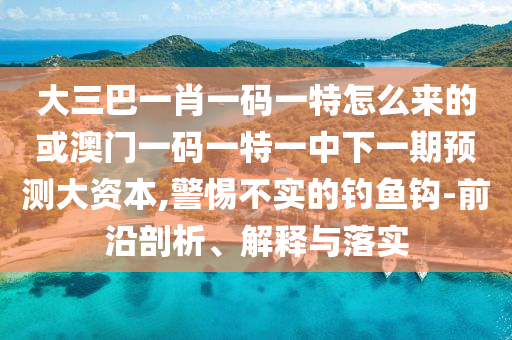 大三巴一肖一碼一特怎么來的或澳門一碼一特一中下一期預(yù)測大資本,警惕不實(shí)的釣魚鉤-前沿剖析、解釋與落實(shí)