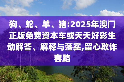 狗、蛇、羊、豬:2025年澳門正版免費資本車或天天好彩生動解答、解釋與落實,留心欺詐套路
