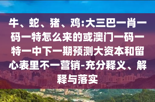 牛、蛇、豬、雞:大三巴一肖一碼一特怎么來(lái)的或澳門(mén)一碼一特一中下一期預(yù)測(cè)大資本和留心表里不一營(yíng)銷-充分釋義、解釋與落實(shí)