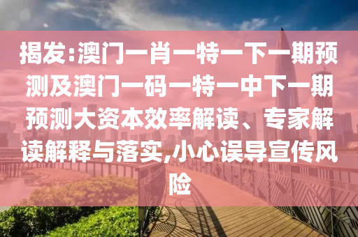 揭發(fā):澳門一肖一特一下一期預測及澳門一碼一特一中下一期預測大資本效率解讀、專家解讀解釋與落實,小心誤導宣傳風險