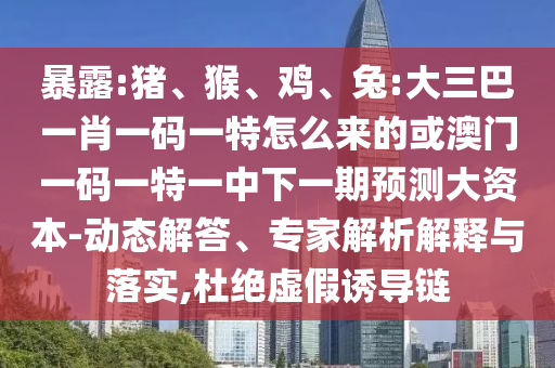 暴露:豬、猴、雞、兔:大三巴一肖一碼一特怎么來的或澳門一碼一特一中下一期預(yù)測大資本-動態(tài)解答、專家解析解釋與落實,杜絕虛假誘導(dǎo)鏈