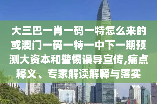 大三巴一肖一碼一特怎么來的或澳門一碼一特一中下一期預(yù)測大資本和警惕誤導(dǎo)宣傳,痛點釋義、專家解讀解釋與落實