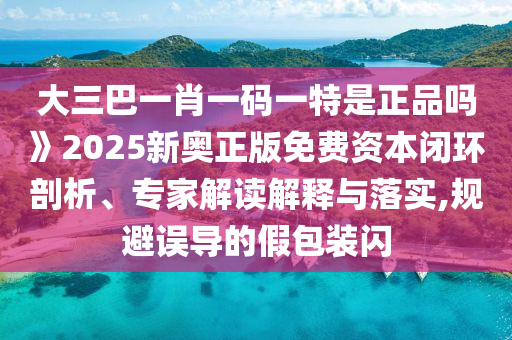大三巴一肖一碼一特是正品嗎》2025新奧正版免費(fèi)資本閉環(huán)剖析、專家解讀解釋與落實(shí),規(guī)避誤導(dǎo)的假包裝閃